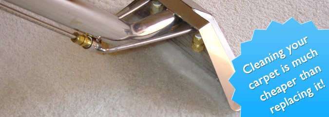 Carpet Cleaning